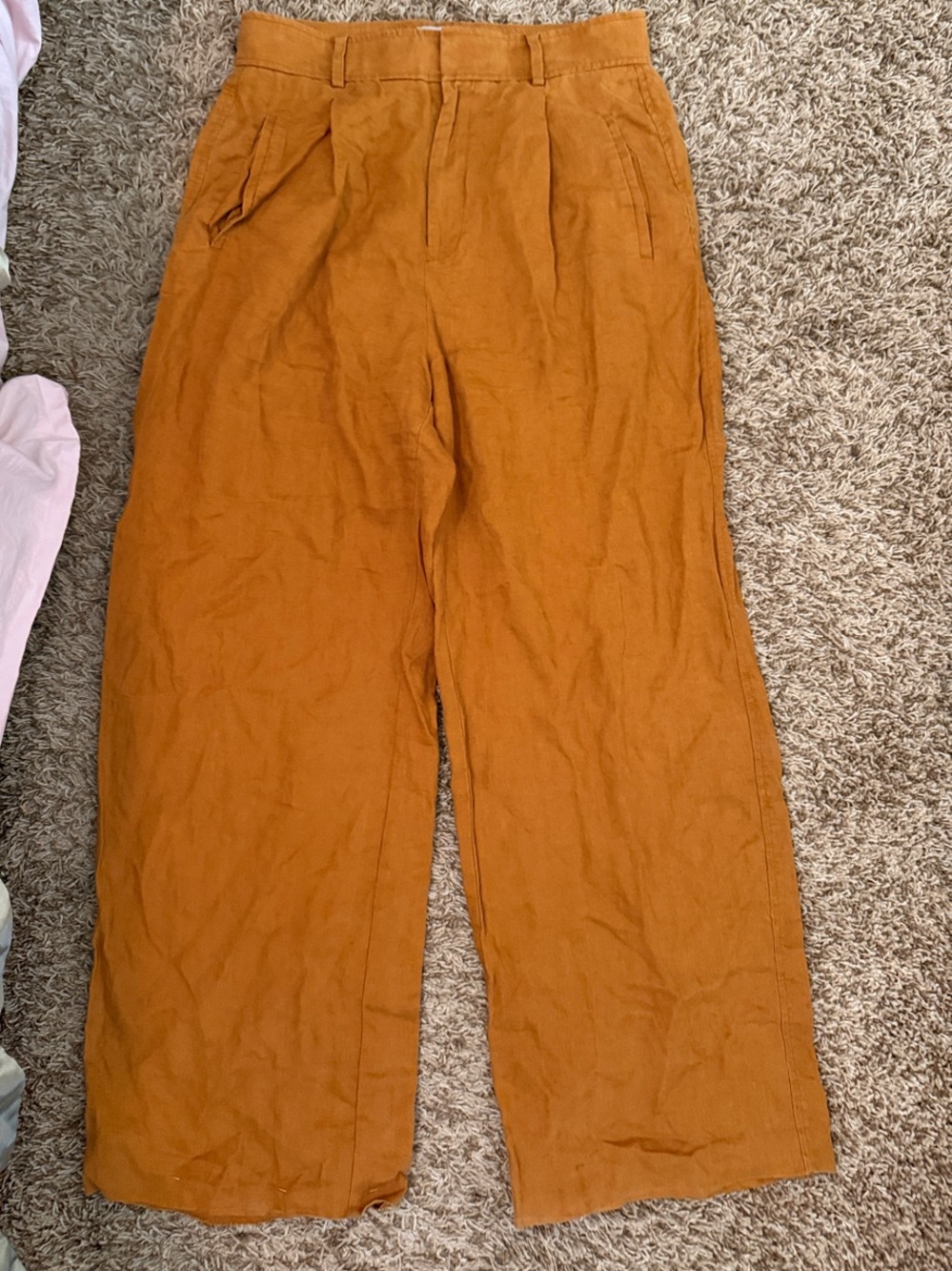 Everlane Size 8 100% Linen Wide Leg Pants Rust Orange High Rise